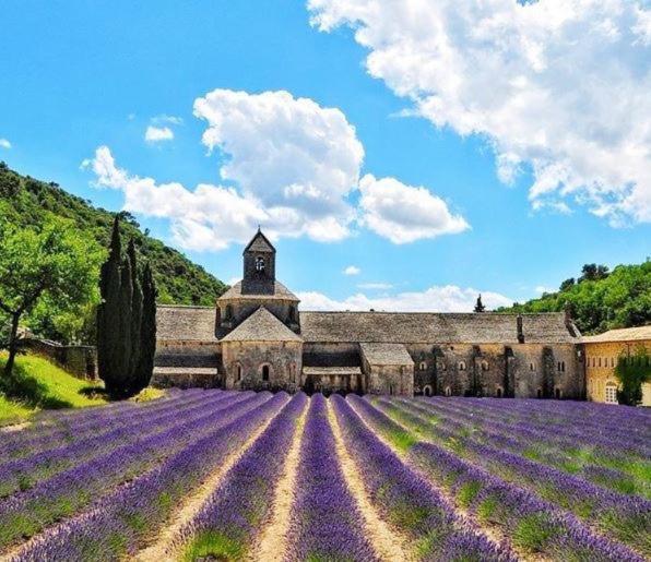 Mas Orea Cote Piscine Gordes Bagian luar foto