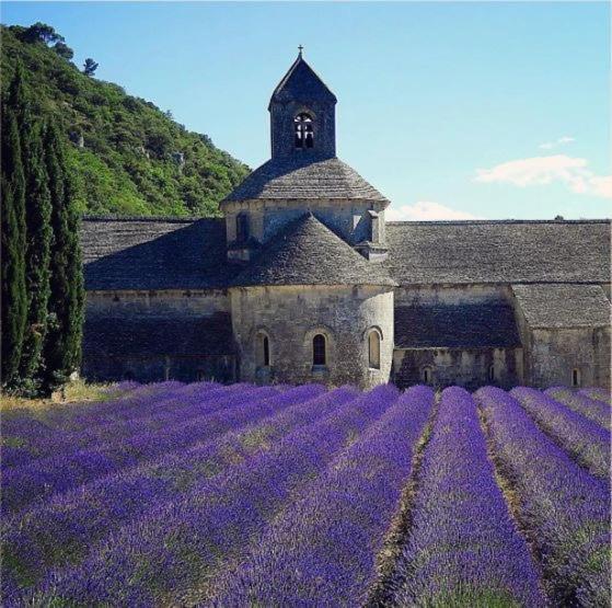 Mas Orea Cote Piscine Gordes Bagian luar foto